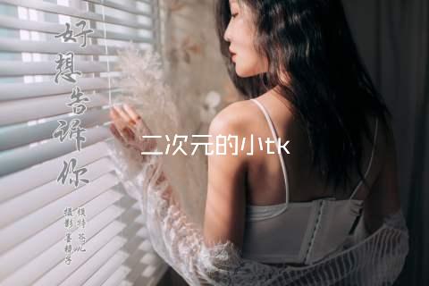 二次元的小tk